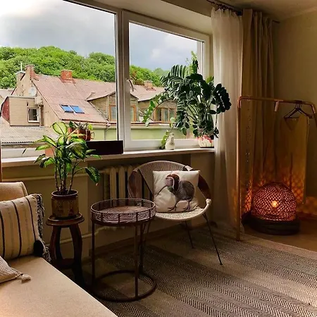 Apartment Three Bedroom With Two Terraces For 7people+baby *