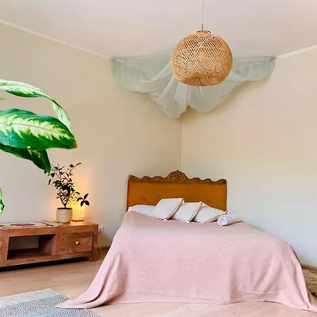 Three Bedroom With Two Terraces For 7people+baby דירה קובנה