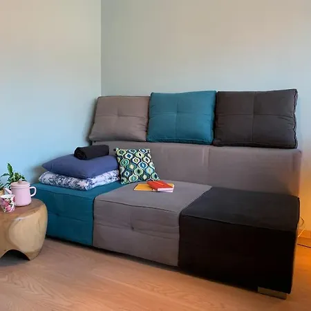 アパート Three Bedroom With Two Terraces For 7people+baby カウナス