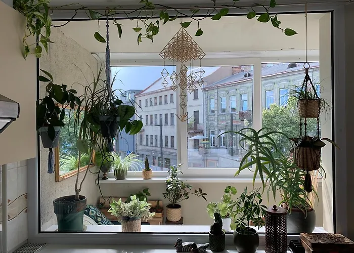 Three Bedroom With Two Terraces For 7people+baby * Kaunas