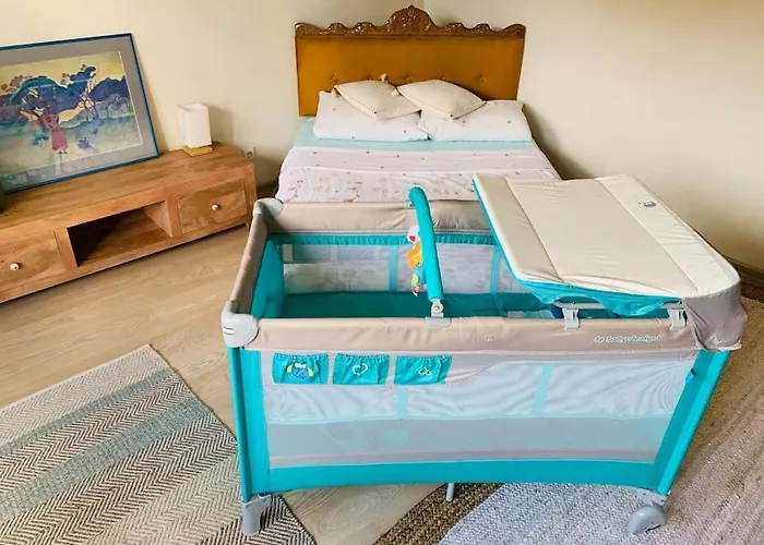 Three Bedroom With Two Terraces For 7people+baby Appartement