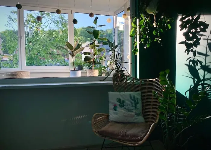 Appartement Three Bedroom With Two Terraces For 7people+baby